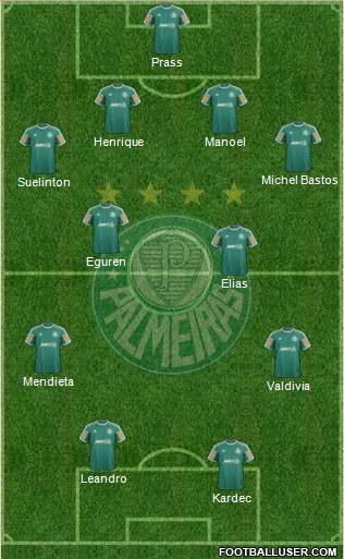SE Palmeiras Formation 2013