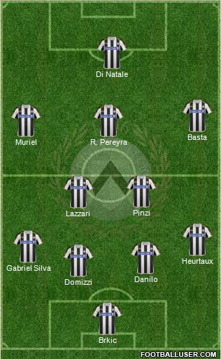 Udinese Formation 2013