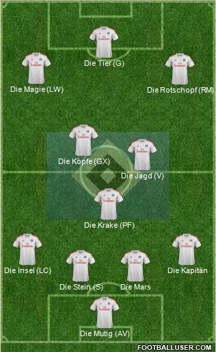 Hamburger SV Formation 2013
