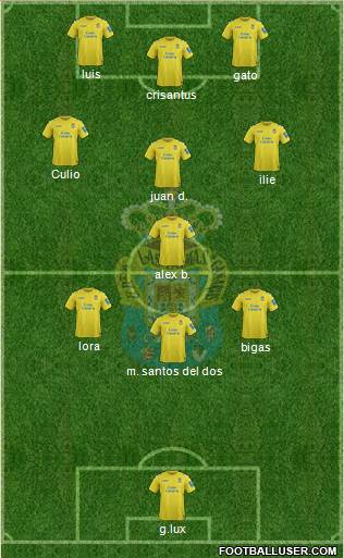 U.D. Las Palmas S.A.D. Formation 2013
