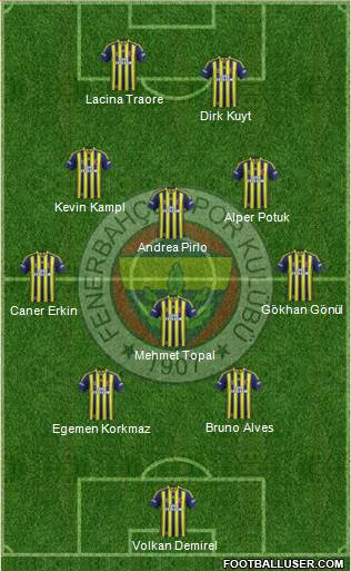 Fenerbahçe SK Formation 2013