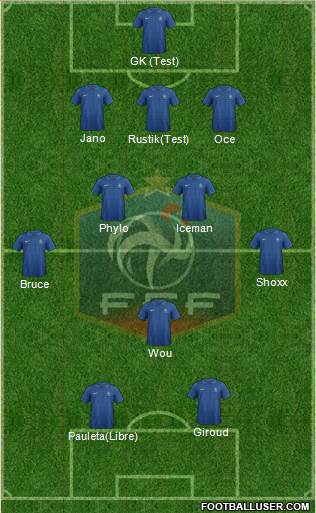 France Formation 2013