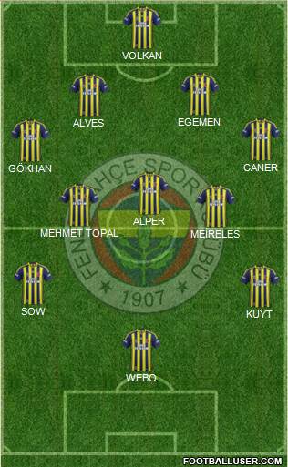 Fenerbahçe SK Formation 2013