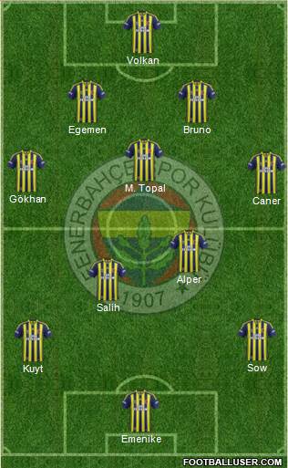 Fenerbahçe SK Formation 2013