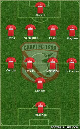 Carpi Formation 2013