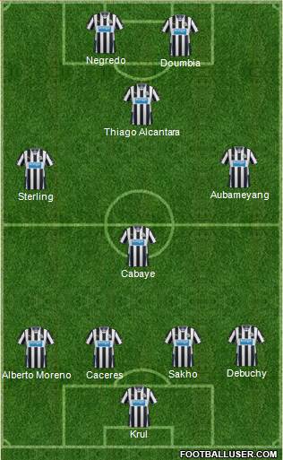 Newcastle United Formation 2013