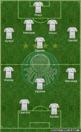 SE Palmeiras Formation 2013