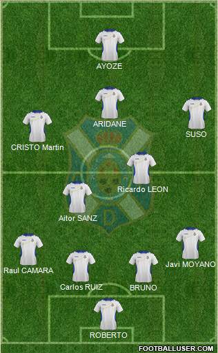 C.D. Tenerife S.A.D. Formation 2013
