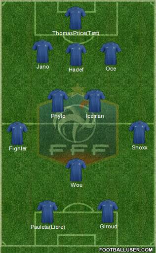 France Formation 2013