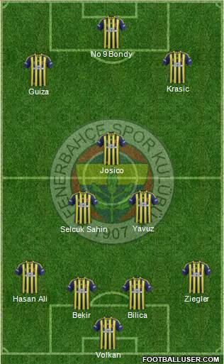 Fenerbahçe SK Formation 2013