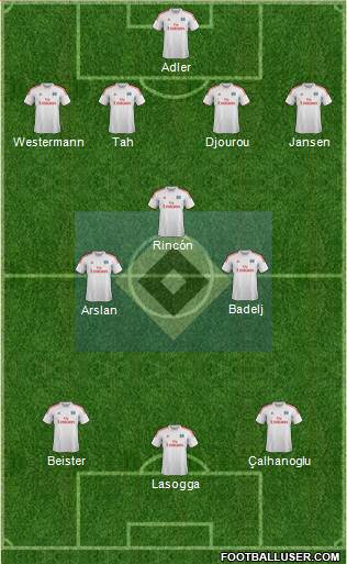 Hamburger SV Formation 2013