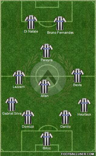 Udinese Formation 2013