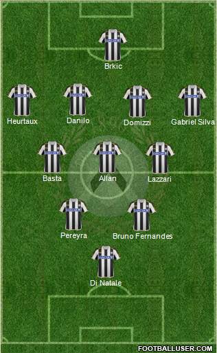 Udinese Formation 2013