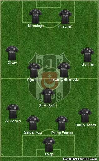 Besiktas JK Formation 2013