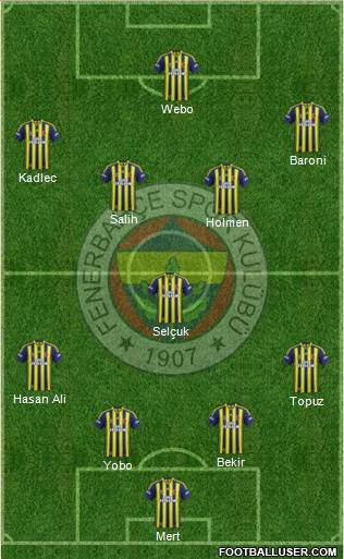 Fenerbahçe SK Formation 2013