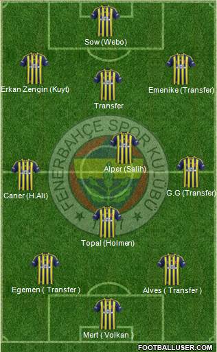 Fenerbahçe SK Formation 2013