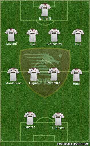 Salernitana Formation 2013
