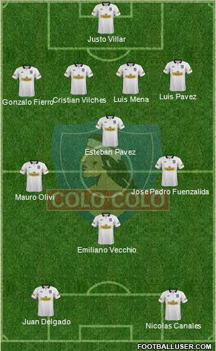 CSD Colo Colo Formation 2013