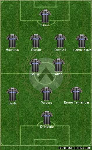 Udinese Formation 2013
