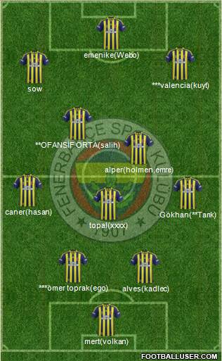 Fenerbahçe SK Formation 2013