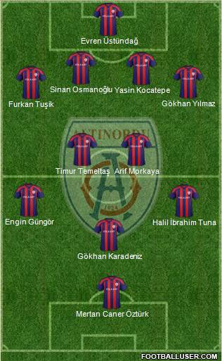 Altinordu Formation 2013