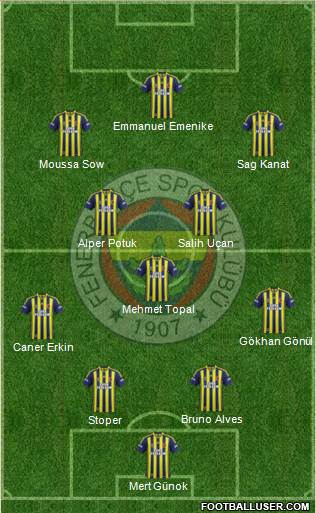Fenerbahçe SK Formation 2013