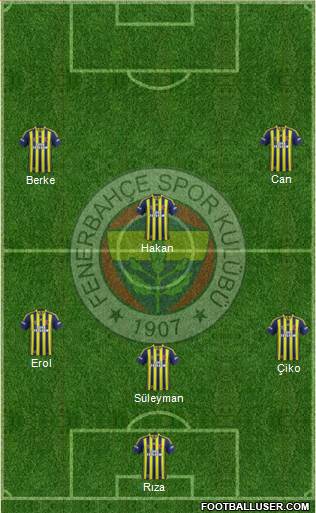 Fenerbahçe SK Formation 2013