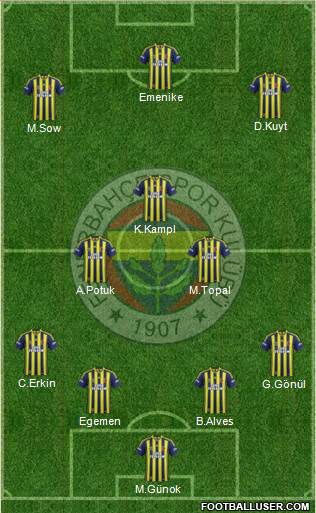 Fenerbahçe SK Formation 2013