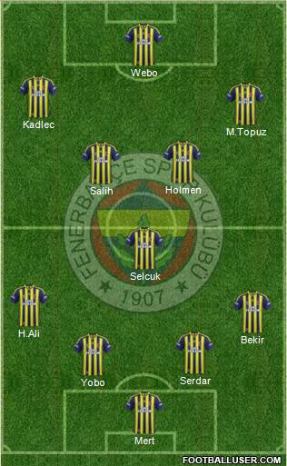 Fenerbahçe SK Formation 2013