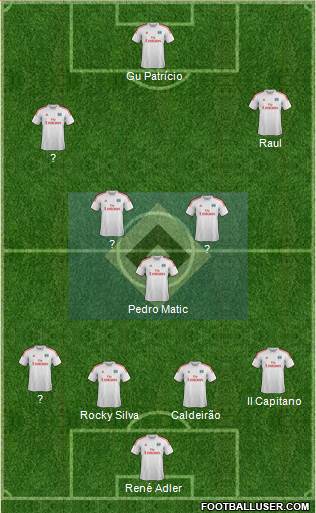Hamburger SV Formation 2013