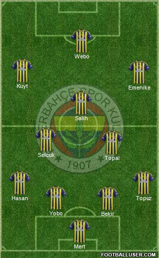 Fenerbahçe SK Formation 2013