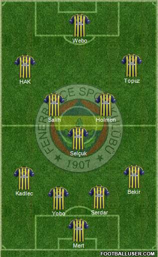 Fenerbahçe SK Formation 2013
