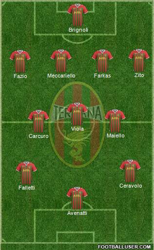 Ternana Formation 2013