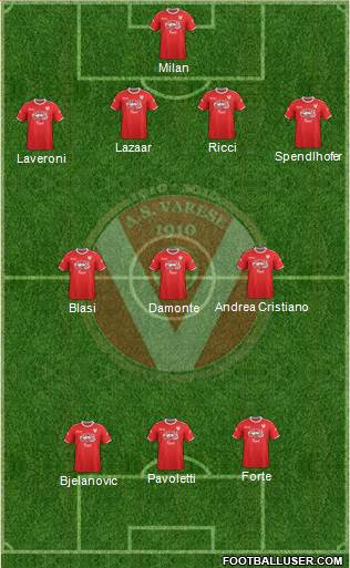 Varese Formation 2013