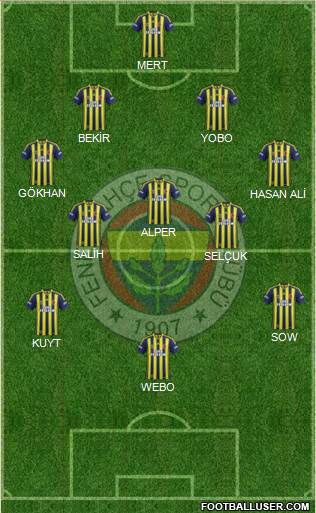 Fenerbahçe SK Formation 2013