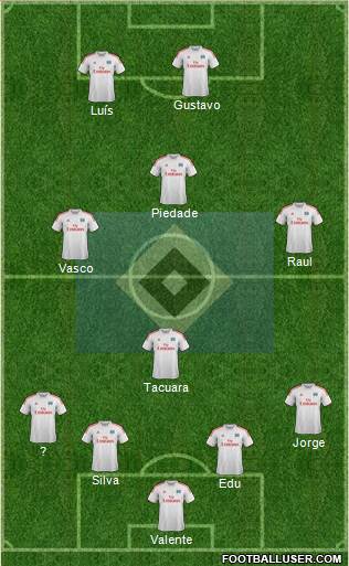 Hamburger SV Formation 2013