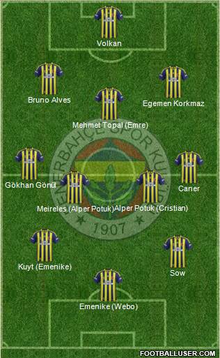 Fenerbahçe SK Formation 2013