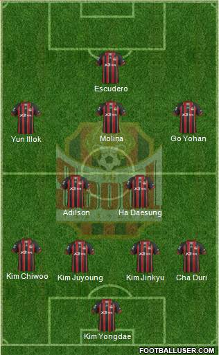 FC Seoul Formation 2013