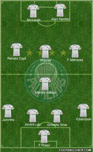 SE Palmeiras Formation 2013