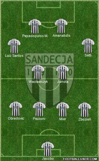 Sandecja Nowy Sacz Formation 2013