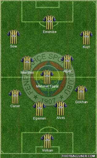 Fenerbahçe SK Formation 2013