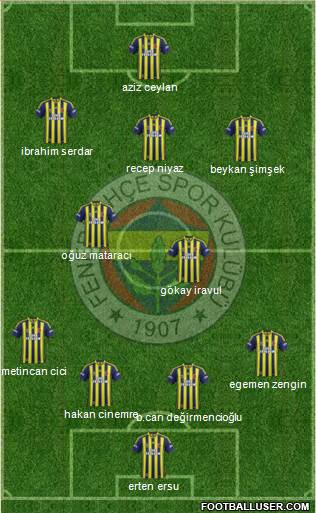 Fenerbahçe SK Formation 2013
