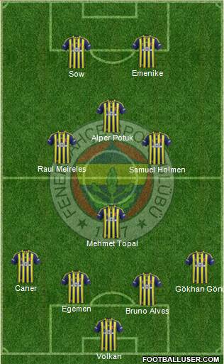 Fenerbahçe SK Formation 2013