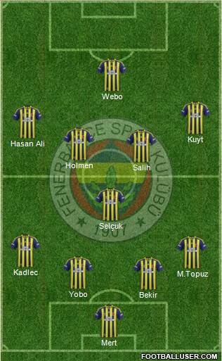 Fenerbahçe SK Formation 2013