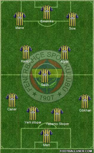 Fenerbahçe SK Formation 2013