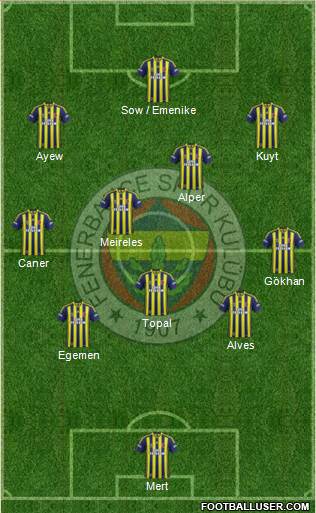 Fenerbahçe SK Formation 2013