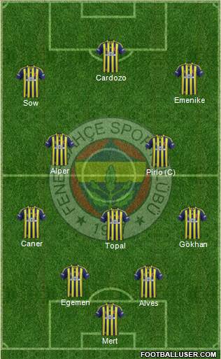 Fenerbahçe SK Formation 2013