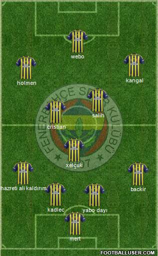 Fenerbahçe SK Formation 2013