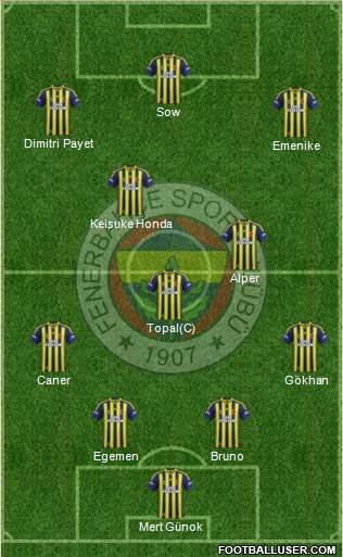 Fenerbahçe SK Formation 2013