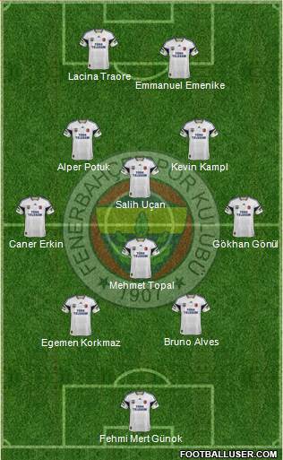 Fenerbahçe SK Formation 2013